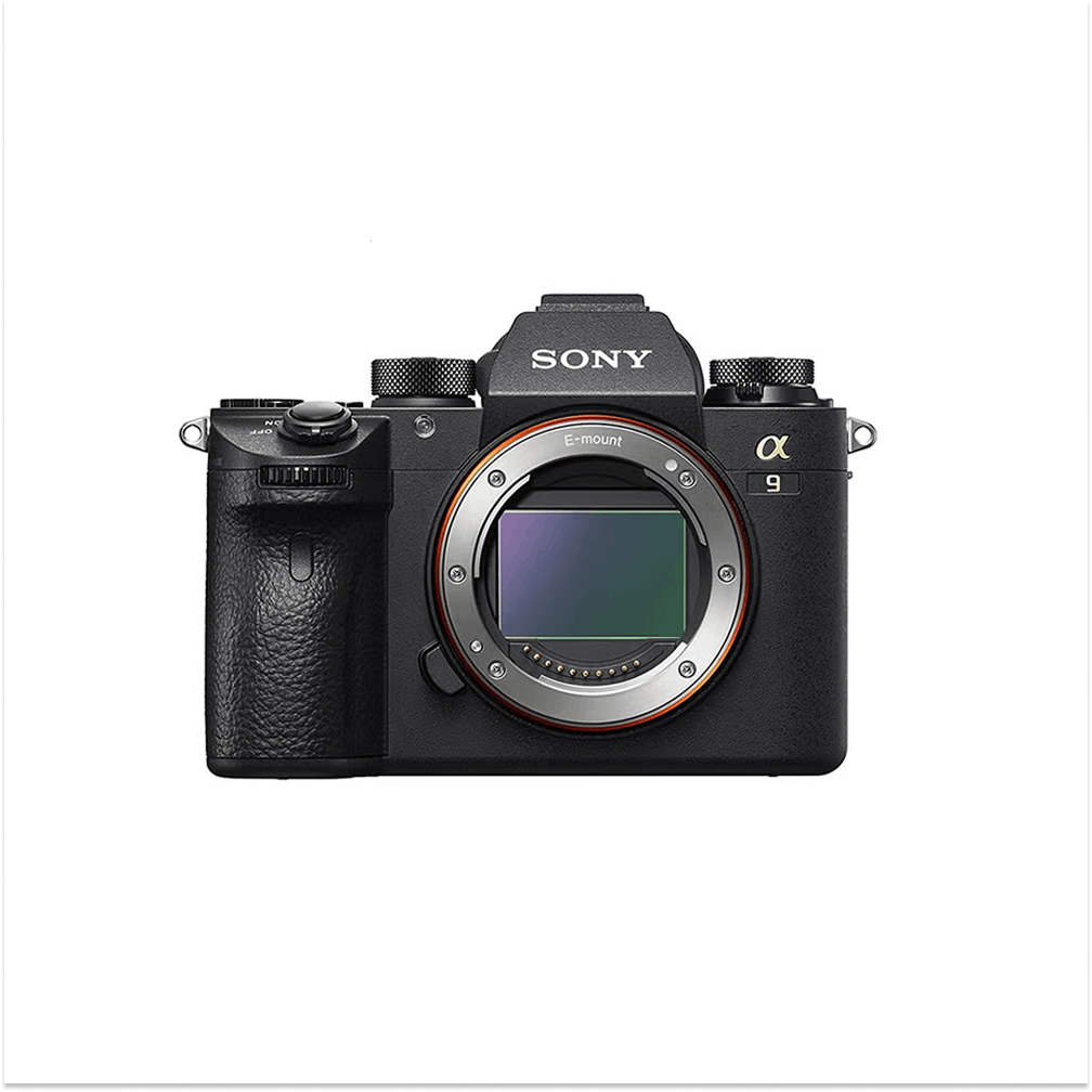 A9 24.2 MP Mirrorless Camera