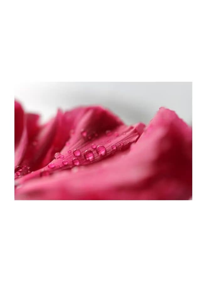 EF 100mm f/2.8L Lens For Canon Black - Image 5