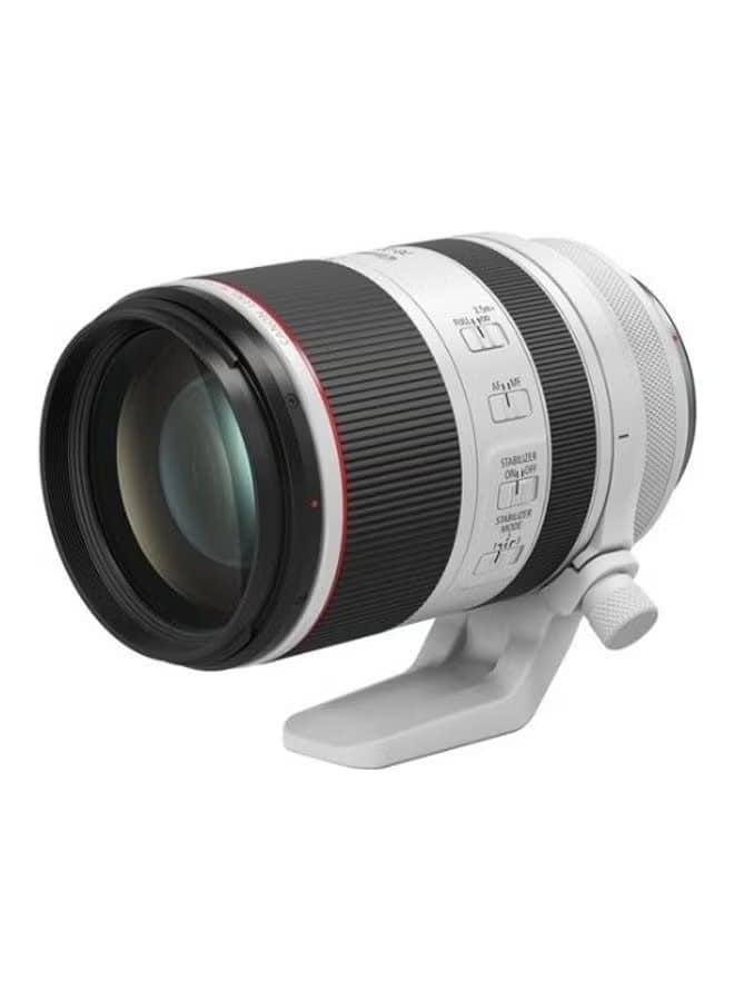 RF 70-200mm f/2.8L IS USM Lens White - Image 4